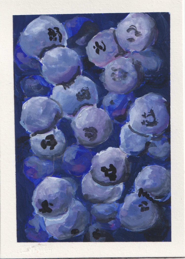 Blueberries 2