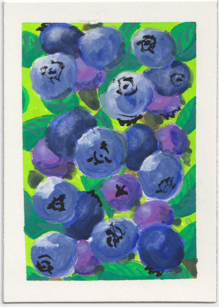 Blueberries 3