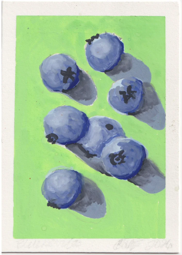 Blueberries 4