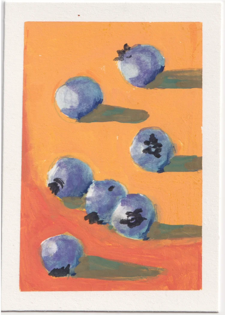 Blueberries 5