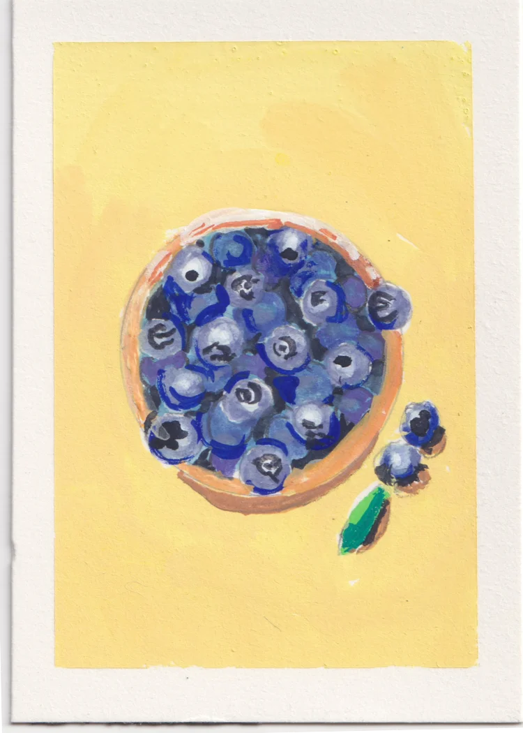 Blueberries 6