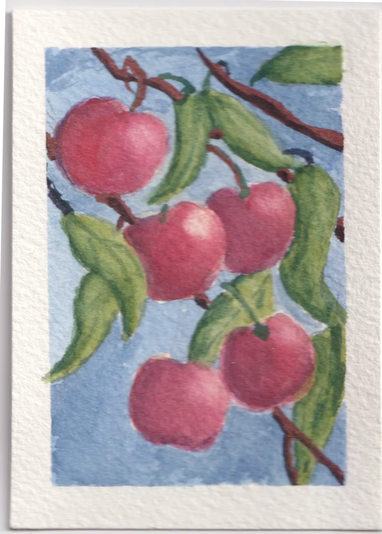 Cherry Tree