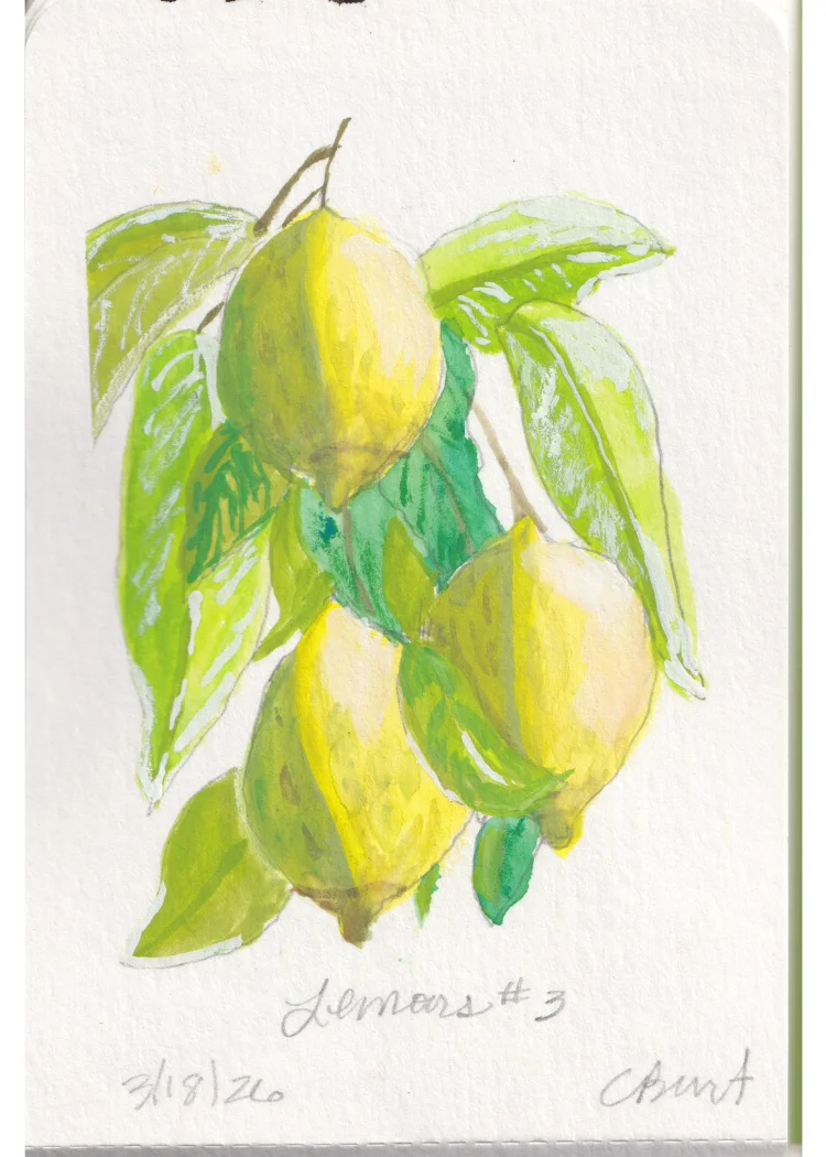 Lemons #3 — gouache painting of lemons on a branch with loose washes