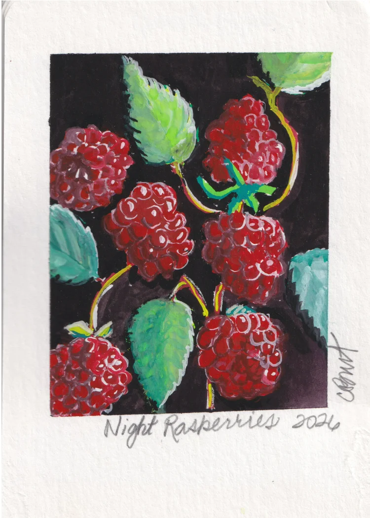 Night Raspberries — gouache painting of raspberries and leaves on a dark ground