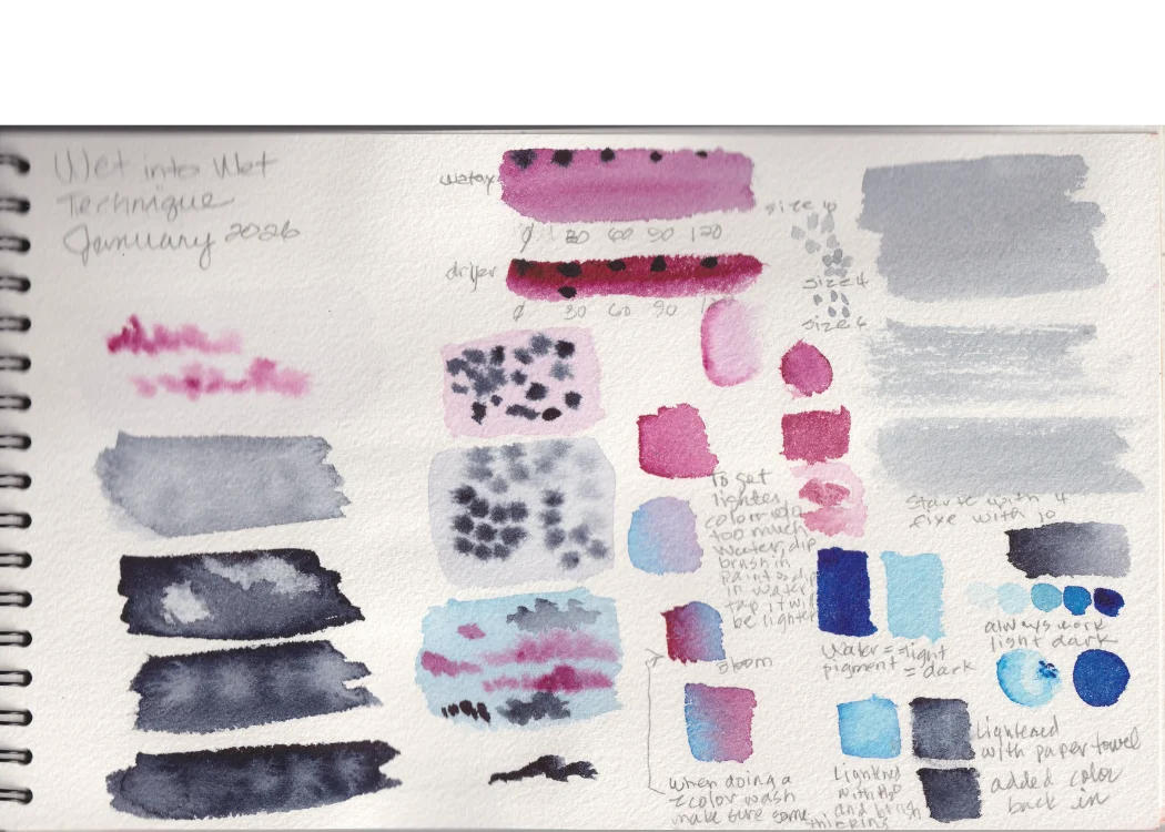 Wet into Wet Technique — January 2026 watercolor sketchbook exercises with pink and blue washes